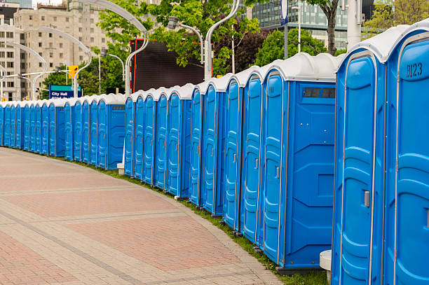 Best Portable Toilet Rental for Emergency Services  in Pepeekeo, HI
